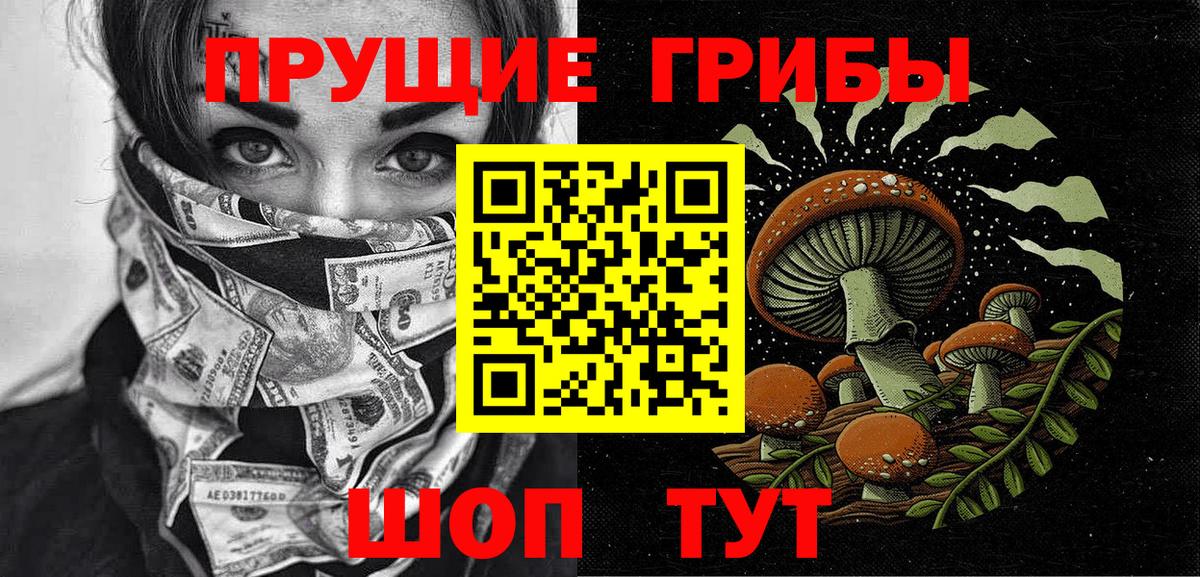Псилоцибиновые грибы Psilocybe  Вход с VPN  Лениногорск 